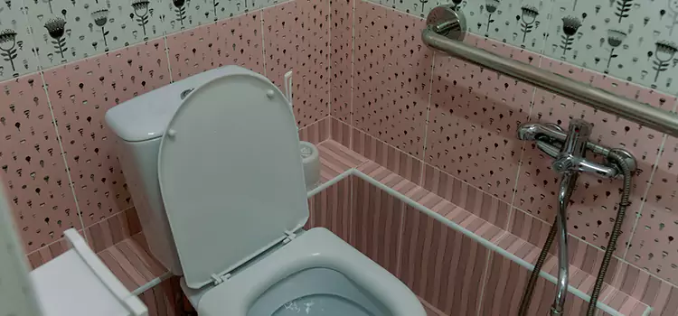 Meeting Diverse Needs With Accessible Restroom Solutions in Chalmette, LA
