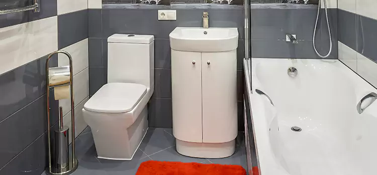 Hansgrohe Shaving Mirror Chalmette